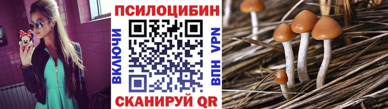 Галлюциногенные грибы прущие грибы  Выкса 