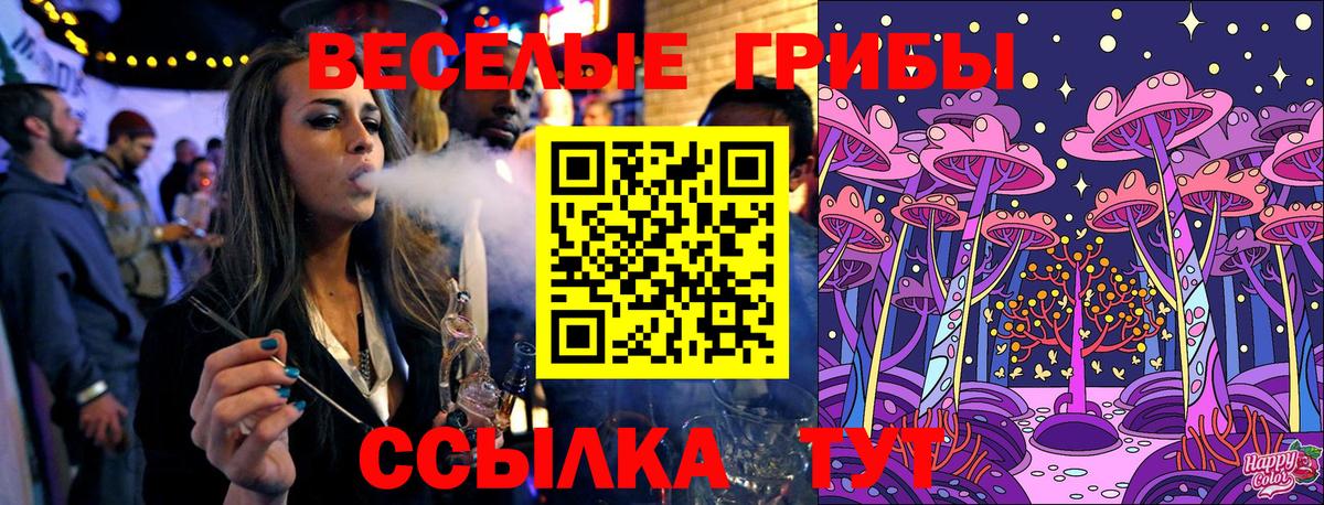 Выкса  Галлюциногенные грибы Psilocybe  купить  сайты  Вход с VPN 
