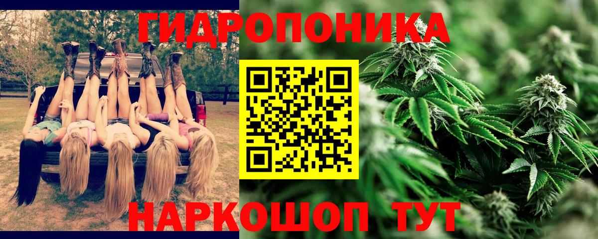 Канабис марихуана  Каннабис семена  Выкса  Бошки Шишки SATIVA & INDICA  Каннабис конопля 